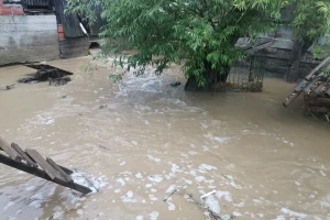 Olujno nevrijeme poharalo Slavoniju - nazimica pobacila, stradali tek izleženi guščići, pilići...