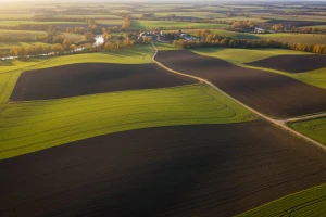 Veće površine pod žitaricama i uljanom repicom