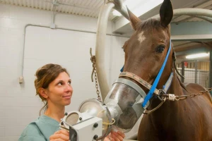 Kongres veterinarskih stručnjaka u Zagrebu