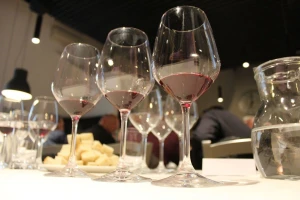 Domaća vina i alkoholna pića imaju budućnost, Sabatina je najbolji dokaz za to