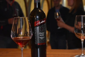 Zagreb ovaj petak postaje - zemlja vina