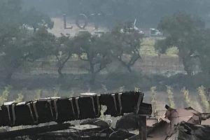 Izgorjeli povijesni vinogradi, poginulo 15 ljudi