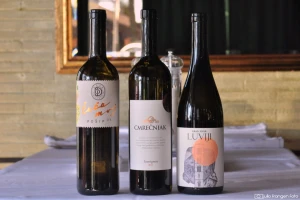 Izabrana tri najbolja proljetna vina koja bismo servirali za uskrsni blagdanski stol