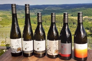 Prodaja vina se prepolovila, ali šansa domaćih proizvođača je u ruralnom turizmu?
