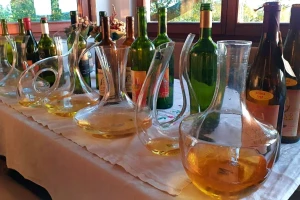 Moslavački vinski vremeplov: Hoće li nestati dišeća ranina?