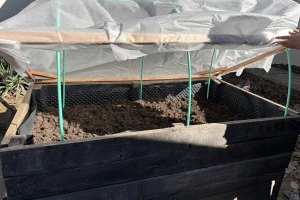 Kako produžiti vrtlarsku sezonu postavljanjem jednostavnog plastenika