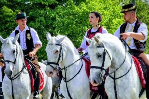 Vodič kroz 17 tradicionalnih manifestacija u Slavoniji, Baranji i Srijemu