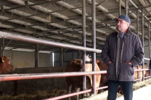 Antun Vrakić: Privremene mjere neće spasiti proizvodnju, treba nam dugoročno rješenje