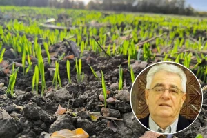 Suho i sunčano do petka, a zatim oblačno i hladnije