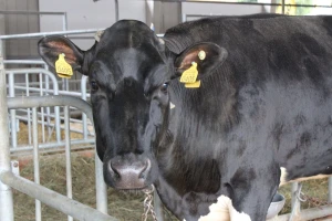 Pola milijarde kuna za Mikro i Male zajmove za ruralni razvoj