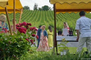 Treći Zalazak u vinogradu donio i graševinu na tračnicama