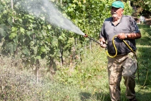 I dalje sunčano i stabilno!