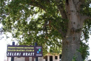 Doktori za stabla postavili dijagnozu hrastu!