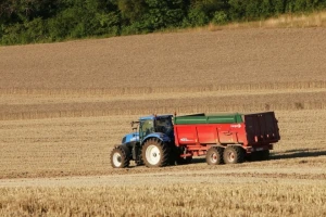 Prodaje se zemljište u Općini Slivno