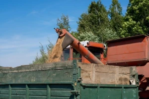 Samo jedan posto do rekordne proizvodnje žitarica!