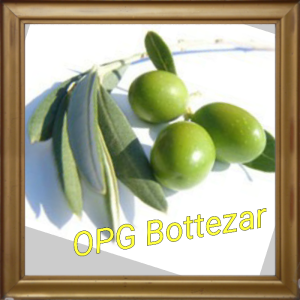 Davor Bottezar