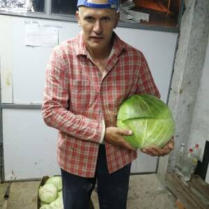 ivica cvrlje