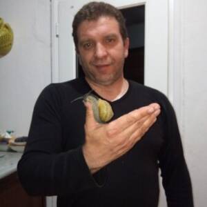 Mahieddine Elgharbi
