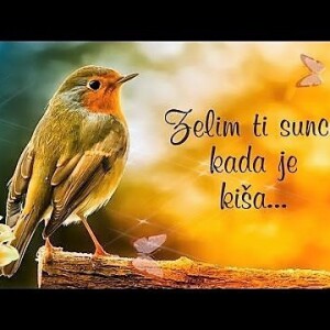 Kastav
