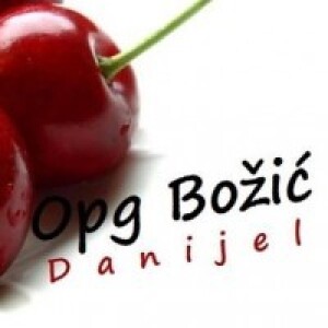 Danijel Božić