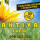 AKTIVA