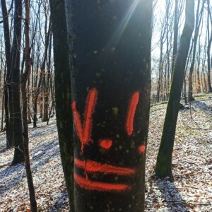 MiraV