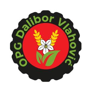 Dalibor Vlahovic