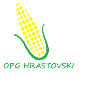 Marko Hrastovski