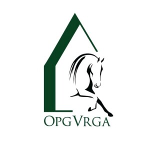 Sasa Vrga