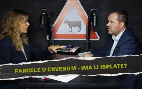 Parcele u crvenom - ima li isplate? | Nikola Dolački @ AKP