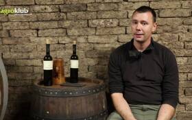 Fermentacija i pretok vina | Ivan Gerštmajer Zelember