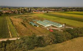 Prodaje se najveća svinjogojska farma u Virovitičko-podravskoj županiji | Farma Miholjac